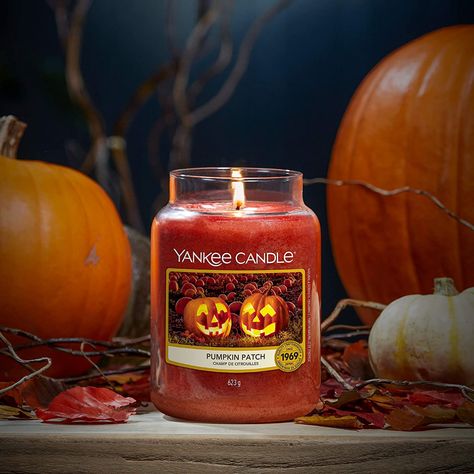 Yankee Candle Aesthetic, Pumpkin Pie Candle, Yankee Candle Halloween, Halloween Aesthetics, Yankee Candle Fall, Pumpkin Scented Candles, Candle Autumn, Yankee Candle Jars, Yankee Candle Scents