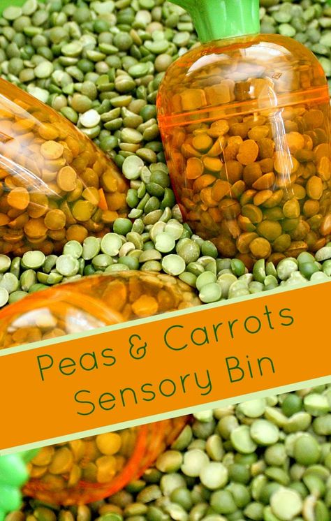 Peas and Carrots Sensory Bin...fun play activity for toddlers. Sustainable Activities, Sensory Center, Toddler Vegetables, Spring Sensory, Preschool Sensory, Sensory Tubs, Sensory Tub, Peas And Carrots, Activity For Toddlers