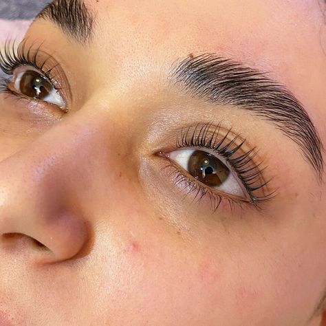 Glshvv Lash Extensions And Brow Lamination, Laminate Eyelashes, Lash Lamination, Types Of Eyelash Extensions, Eyelash Lift And Tint, Lash Bar, Eyebrow Lift, Eyelash Tinting, Skin Care Business