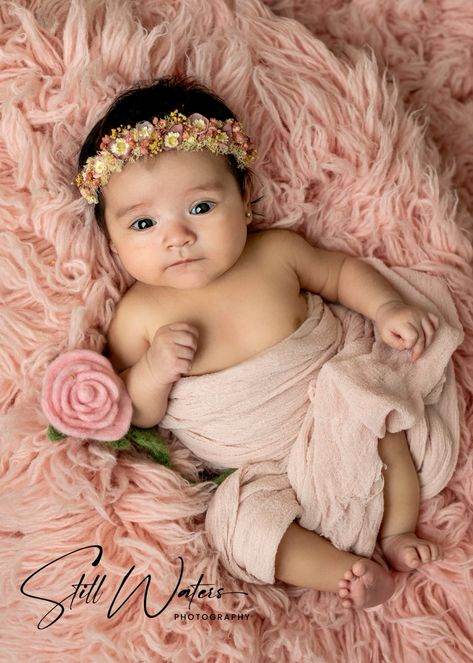 1 Month Old Newborn Photography, 1 Month Girl Baby Shoot, Baby Girl 2 Month Shoot, 3 Month Girl Photoshooting Ideas, New Born Baby Girl Photoshooting Diy, 3 Month Baby Girl Photoshooting Ideas, Baby Girl Photoshooting 6 Months, Baby Girl 3 Month Shoot, One Month Old Baby Photoshoot