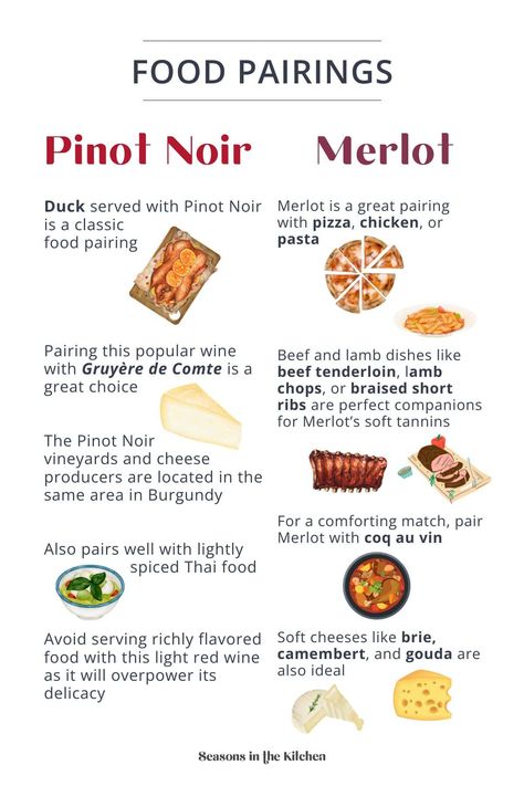 From red meats to lighter dishes, find the best foods to pair with Pinot Noir and Merlot. Pop over to our site to learn more! Alcohol Pairings, Pinot Noir Food Pairing, Wine App, Wine Variety, Wine Recommendations, Merlot Wine, Pinot Noir Wine, Dry Wine, Lamb Dishes