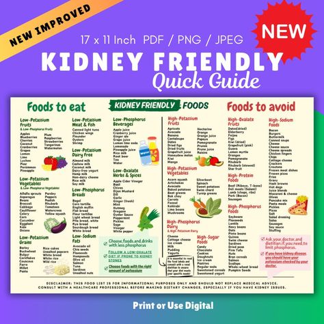 Salt Free Foods List, Stage 3 Kidney Diet, Ckd Diet Food Lists, Best Kidney Foods, Kidney Stone Diet Recipes Food Lists, Foods For Kidney Health Renal Diet, Iga Nephropathy Diet, Renal Diet Recipes Meals Food Lists, Chronic Kidney Diet Recipes