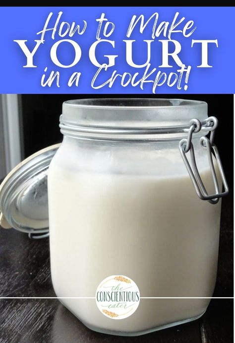 This homemade yogurt recipe is perfect for beginners. Plus you can make it in your crockpot! If you've never made crockpot yogurt before, definitely give this easy yogurt recipe a try! Click through for step-by-step instructions! Yogurt Homemade, Homemade Yogurt Recipes, Make Your Own Yogurt, Starter Cultures, Thick Yogurt, Yogurt Makers, Making Yogurt, Homemade Almond Milk, Yogurt Maker