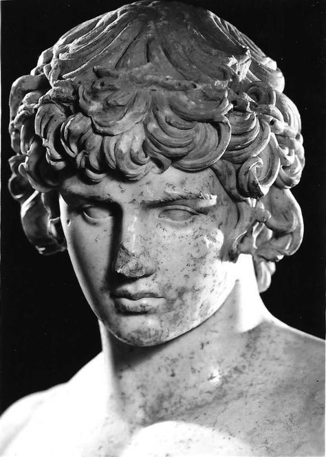 One of the most beautiful of Antinous images, this statue, although damaged, preserves the original sheen and polish of the ancient marble. Greek Statues Men, Greek God Sculpture Aesthetic, Greek Sculpture Aesthetic Man, Old Sculpture Greek, Greek God Sculptures, Famous Greek Sculpture, Side View Of Face, Classical Bust Sculpture, Roman Male Statue