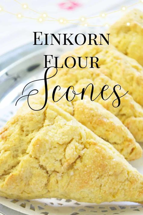 Cream Scones Recipe, Basic Scones, Einkorn Recipes, Einkorn Flour, Wheat Recipes, Croissant Recipe, Cream Scones, Easy Recipes For Beginners, Eggless Baking