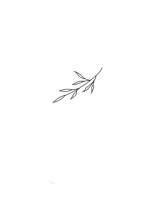 Ivy And Stars Tattoo, Fine Line Lily Tattoo Design, Sage Tattoo Simple, Olive Branch Tattoo Finger, Ivy Branch Tattoo, Fine Line Olive Branch Tattoo, Ck Tattoo, Olive Branch Drawing, Olive Tree Tattoos