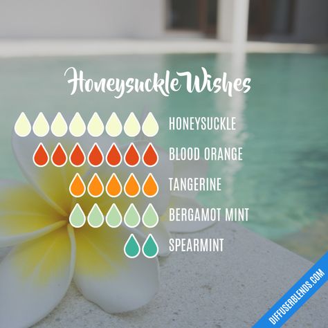 Wallflower Scents, Honeysuckle Essential Oil, Diffuser Scents, Candle Recipes, Perfume Blends, Scentsy Oils, Essential Oil Perfumes Recipes, Roller Blends, Aromatherapy Recipes