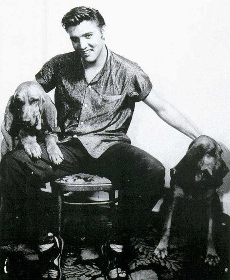 .A Promo Still For The Single, "Houndog"...Which, Truly, Needed NO Promotion!! #dog #dogs #pups #pets #famousdogs #famouspets #elvis #elvispresley #dogsinmovies #dogsinfilms King Elvis Presley, I Love Elvis, Very Important Person, Sun Records, Elvis Photos, Young Elvis, King Of Rock And Roll, Elvis And Priscilla, Elvis Presley Pictures