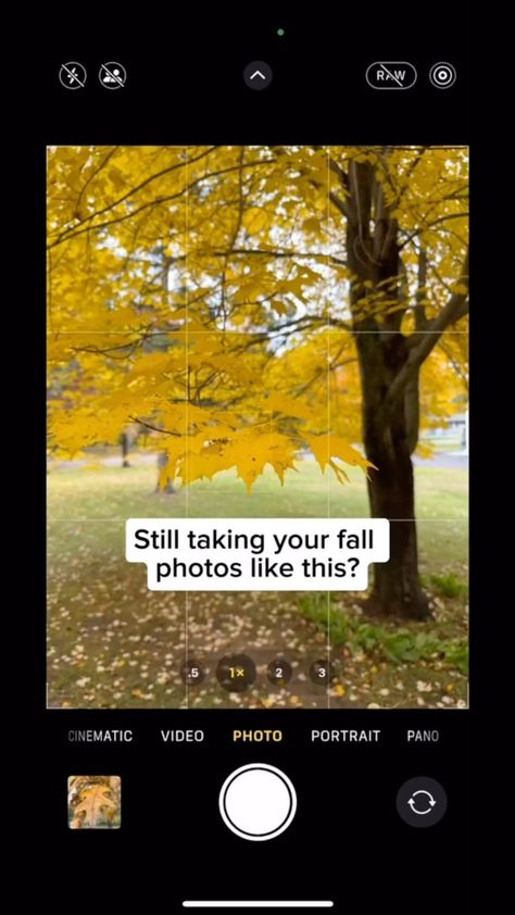 JD The Camera Guy | Teaching You Photography | Stop taking your pictures like this! Comment TIPS and I’ll send you my 5 best photo tips . . . #fyp #viral #iphone12... | Instagram Iphone Photography Tips, Iphone Hacks, Iphone Camera, Learning Photography, I Need To Know, Photo Idea, Iphone Photography, Fall Photos, Photo Tips