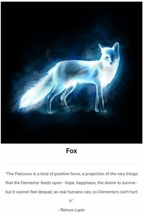 Fox Patronus Harry Potter, Patronus Animals, Fox Patronus, Expecto Patronum, Maine Coon, Panther, Harry Potter, Fox, Dogs