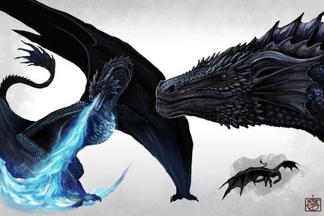 Dark Biblical Art, Asoiaf Dragons, Game Of Thrones Dragons, Bronze Dragon, Shadow Dragon, Got Dragons, Fire And Blood, Dragon Warrior, New Dragon