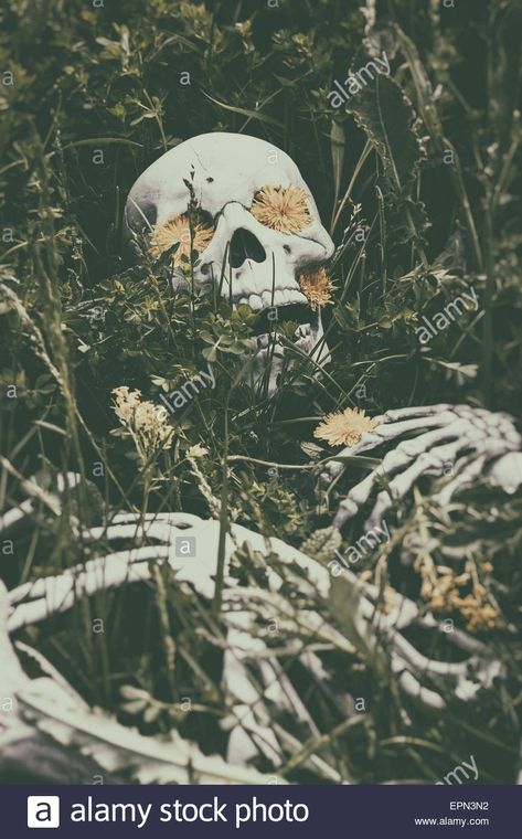 overgrown skeleton model - Google Search Overgrown Skeleton, Cottage Gore, Grass Weeds, Fall Drawings, Skeleton Model, Grass Painting, Human Bones, The Grass, College Art