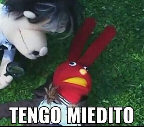 Funny memes to make you laugh 😂 Find the best memes to share with friends and family on Pinterest. #memes #funnymemes . #Funny_Mexican_Pictures #Pingu_Memes #Funny_Spanish_Memes #Humor_Mexicano Funny Mexican Pictures, Pingu Memes, Spiderman Stickers, Mexican Memes, Humor Mexicano, Funny Spanish Memes, Stickers Design, Spanish Memes, Pinterest Memes