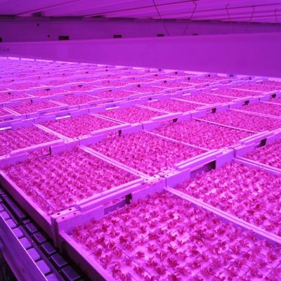 Vertical Greenhouse, Irrigation Systems, Farming System, Polycarbonate Greenhouse, Vertical Farming, Clean Environment, Greenhouses, Irrigation System, Growing Vegetables