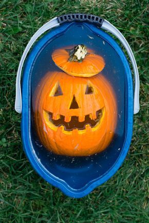 How to Prevent Pumpkins from Rotting And Keep Your Jack-O-Lantern Looking Fresh for Weeks How To Keep Your Pumpkin From Rotting, Keeping Pumpkins From Rotting, Pumpkin Carving Hacks, Preserve Carved Pumpkin, Witch Pumpkin Carving, Creative Pumpkin Decorating, Halloween Tricks, Halloween Science, Lantern Ideas