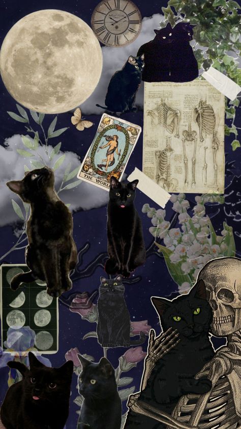 Black cats <3#cat #witch #art #vintage #nature #books #wallpaper Black Cat Collage Wallpaper, Christmas Black Cat Wallpaper, Black Cat Aesthetic Wallpaper Iphone, Black Cat Aesthetic Witch, Witchy Cat Wallpaper, Black Core Aesthetic Wallpaper, Witch Core Wallpaper, Sketchtember 2023, Halloween Black Cat Wallpaper