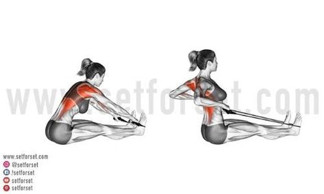 Seated Cable Row, Home Exercises, Cable Row, Major Muscles, Your Back, At Home Workouts, The Row, At Home, Cable