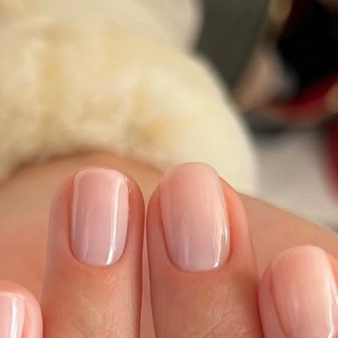 Soft Bridal Nails, Sofia Richie Wedding Nails, Sofia Richie Manicure, Bridal Manicure Wedding Nails Ideas, Sophia Richie Nails, Nude Bridal Nails, Sofia Richie Nails, Bridal Nails Short, Plain Manicure