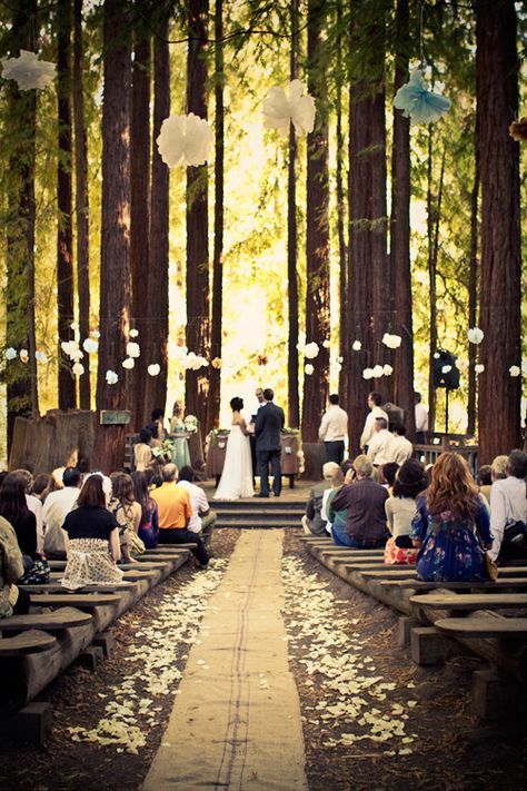 forest wedding aisle runner ideas for fall Hessian Wedding, Wedding Aisles, Woodland Wedding Inspiration, Aisle Runner Wedding, Enchanted Forest Wedding, Outdoor Reception, Aisle Runner, Outside Wedding, Wedding Aisle