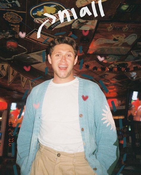 Niall Aesthetic, Niall Horan Tour, Niall Horan Outfits, Phone Widget, Niall Horan Baby, Wall Film, Niall And Harry, Hello Lover, Irish Princess