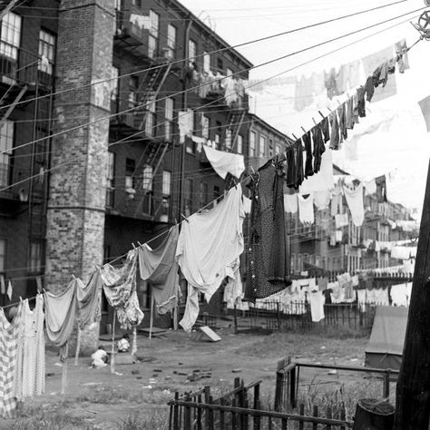 Vintage Nyc, Clothes Hanging, Brooklyn Heights, New York Life, Time Life, Vintage New York, Coney Island, Life Pictures, City Living