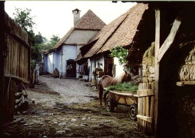 Houses in Silvy Vale in the Dendarri Mountains.   Despite the availability of much higher levels of technology in the cities and lowland communities, the people of Silvy Vale live much as they had for hundreds of year due to the remoteness of the villages. Medieval Farming Village, Medieval Farm Aesthetic, Village Aesthetic Forest, Medieval Poor Aesthetic, Poor Village, Poor Village Aesthetic, The Village, Saxon Aesthetic, Forest Village Aesthetic