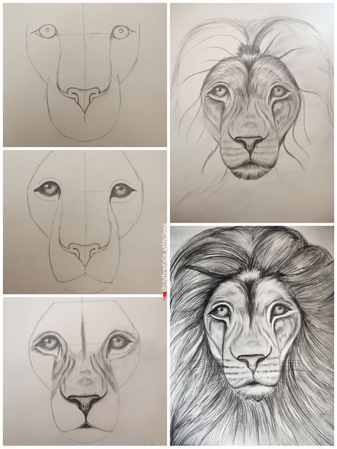 Drawing of Lion made by Artist Ginni Goyal How To Draw A Lions Face Step By Step, Lion Sketch Step By Step, How To Draw A Lion Step By Step, Lion Drawing Realistic, How To Draw Lion, Lion Drawing Step By Step, Lion Drawing Sketches, How To Draw A Lion, Cartoon Lion Drawing