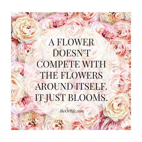 Competing Quotes, Competition Quotes, Word Of Faith, Flower Images, Sign Quotes, Words Of Encouragement, Monday Motivation, A Flower, True Quotes