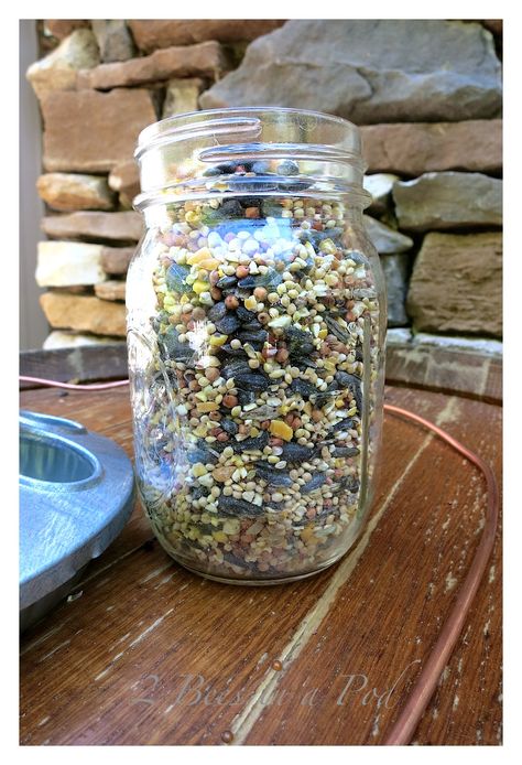 Mason Jar Bird Feeders Diy, Mason Jar Bird Feeders, Bird Feeder Stands, Bird Seed Feeders, Bird Feeder Craft, Window Bird Feeder, Chicken Feeders, Hanging Mason Jars, Chicken Feeder