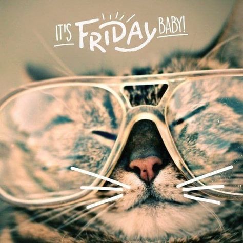 Happy Friday Gif, Friday The 13th Funny, Friday Graphic, Friday The 13th Memes, Friday The 13th Poster, Friday Football, Friday Coffee, That Friday Feeling, Friday Images