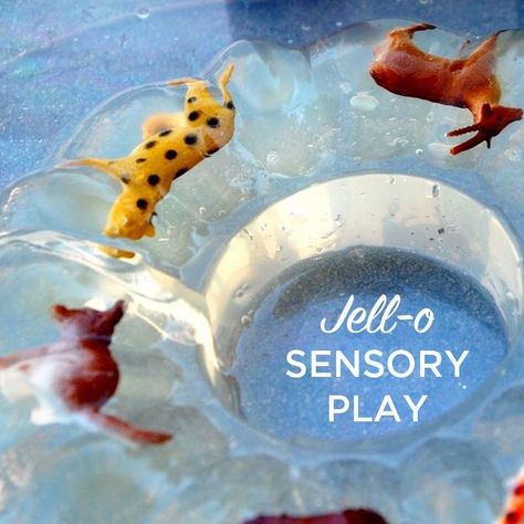 Jello Sensory Play, Sensory Play For Toddlers, Winter Activities For Toddlers, Sensory Play Toddlers, Toddler Sensory, Science Activities For Kids, Activities For Toddlers, Toddlers And Preschoolers, Boredom Busters