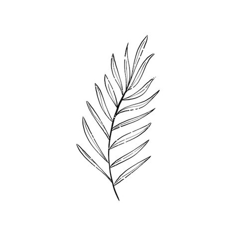 Free vector illustration of plant | Free Vector #Freepik #freevector #nature-sketch #leaves-sketch #leaf-drawing #black-white-illustration Leaves Sketch, Leaf Vector, Black And White Leaves, Daisy Tattoo, Plantas Vs Zombies, Free Illustration Images, Plant Tattoo, Leaf Illustration, Plant Vector