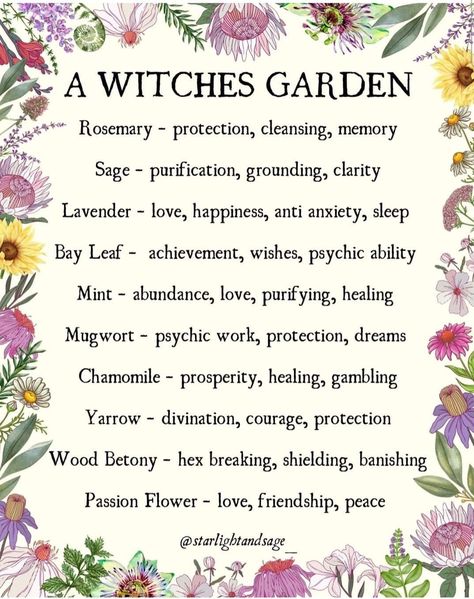 Crystals Spirituality, Witches Art, Witches Garden, Gothic Love, Witchy Garden, Pagan Magic, Spiritual Nature, Witch Herbs, Magia Das Ervas