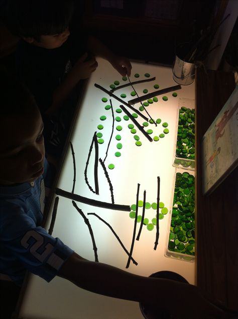 Light Table Trees (image only)...sticks and green (or other colors for fall) marble chips Light Table Provocations, Turtle Succulent, Light Box Activities, Coffee Table Decor Ideas, Succulent Holder, World Turtle, Creative Coffee Table, Reggio Inspired Classrooms, Reggio Classroom