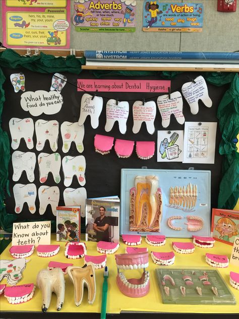 Dental Health Activities First Grade, Science Club Activities, Dental Terminology, Dental Health Preschool, Dental Health Activities, Dental Education, Dentist Clinic, Eyfs Classroom, Dental Hygiene School