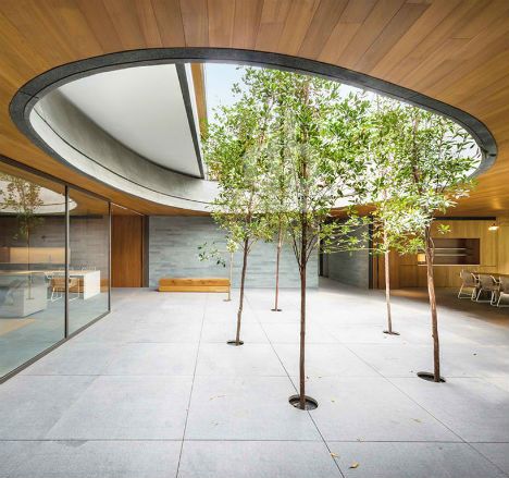 Oculus of Trees: Lush Courtyard Separates Two Homes  Read more: http://dornob.com/oculus-of-trees-lush-courtyard-separates-two-homes/#ixzz2XP9FKKmk Houses Architecture, Furniture Black, Modern Villa Design, Inner Courtyard, Chinese Garden, Patio Interior, Modern Mansion, Rooftop Garden, Courtyard House