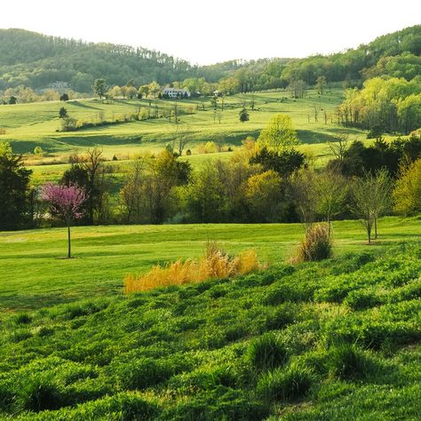 Must See Places In Virginia, Cycle Journal, Hike Virginia, Virginia Nature, Carter Mountain Orchard Virginia, Virginia Landscape, Lovely Scenery, Raven Cycle, Charlottesville Virginia