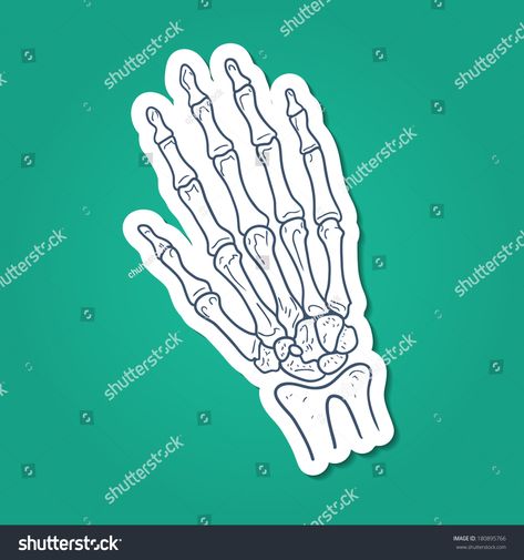 Bone Hands Tattoo, Skeleton Hand Outline, Hand Bones Sketch, Skeleton Hand Stencil, Hand Bone Tattoo Skeletons, Skeleton Hand Tattoo Stencil, Hand Bones Tattoo, Skeleton Hand Tattoo Design, Skeleton Fingers