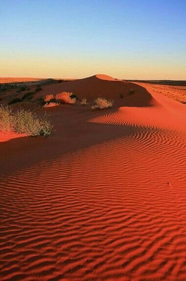 For more inspiration follow us on instagram @artofdestinations or click on photo to visit our instagram page! Western Australia Travel, Australian Desert, Australia Landscape, Deserts Of The World, Red Sand, Desert Travel, Australian Outback, Outback Australia, Australian Travel