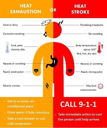 Working in the heat requires special protocols. #riskconusa #DOT #OSHA #safetymovement Throbbing Headache, Heat Exhaustion, Lower Stomach, Natural Healing Remedies, Leg Pain, Excessive Sweating, Menstrual Cramps, Natural Therapy, Knee Pain