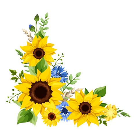 Sunflower Border Design, Flower Corner Border, Floral Corner Design, Boarder Designs Aesthetic, Sunflower Border, Corn Painting, Corner Border, Sunflower Illustration, Sunflower Images