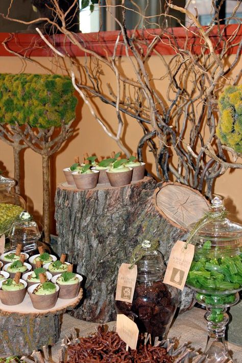 Earth Month 2011  Get Back Down to Earth Party Rooted Theme Party Ideas, Earth Theme Party, Caveman Party, Month Inspiration, Earth Day Party, Fire Water Earth Air, Eagle Ceremony, Eagle Scout Ceremony, Survivor Party