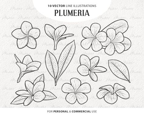 Plumeria Flower Tattoos, Tropical Flower Tattoos, Plumeria Tattoo, Botanical Vector, Line Illustrations, Beachy Art, Hawaii Flowers, Vector Line Art, Easy Flower Drawings