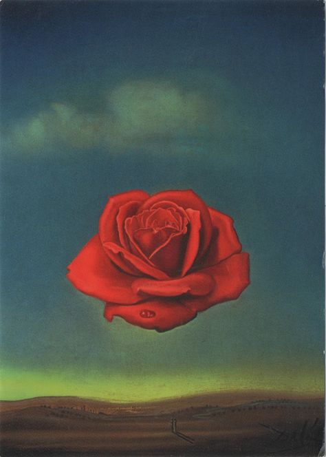 Rose Surrealism, Anthropomorphic Ideas, Venus Painting, Salvador Dali Paintings, Salvador Dali Art, Dali Paintings, Dali Art, Spanish Art, Ship Paintings