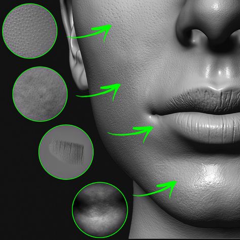 Zbrush Modeling, Skin Reference, Human Skin Texture, Zbrush Anatomy, Zbrush Tips, Zbrush Hair, Nomad Sculpt, Zbrush Render, Skin Tutorial