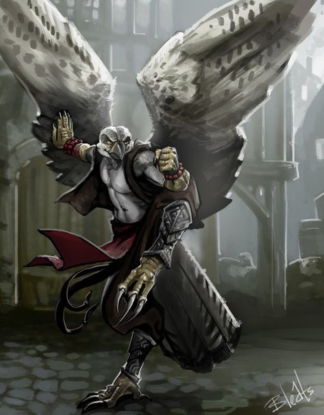 Aarocockra Dnd, Dnd Aarakocra Monk, Aarakocra Monk, Pathfinder Races, Japanese Mythical Creatures, Npc Ideas, New Fantasy, Fantasy Races, Face Characters