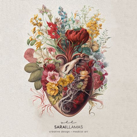 Home - saraillamas.com Live In Italy, Medical Artwork, Anatomical Heart Art, Art For Living Room Wall, Eagle Drawing, First Drawing, Drawing Wallpaper, Wall Decor For Bedroom, Medical Art