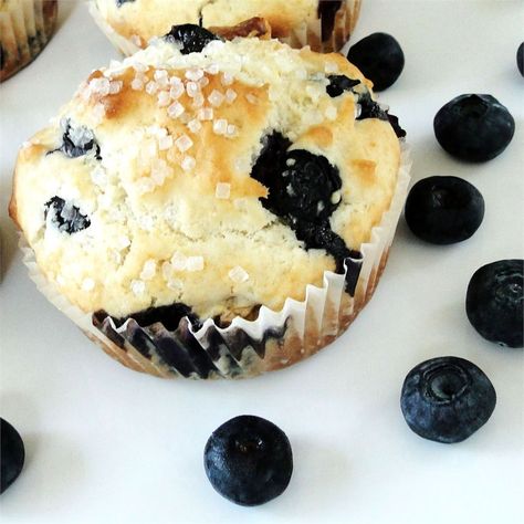 Blueberry Nut Muffins Nut Muffins Recipe, Ricotta Muffins, Applesauce Muffins, Nut Muffins, Best Blueberry Muffins, University Of Ottawa, Muffin Recipes Blueberry, Muffin Batter, Alumni Association