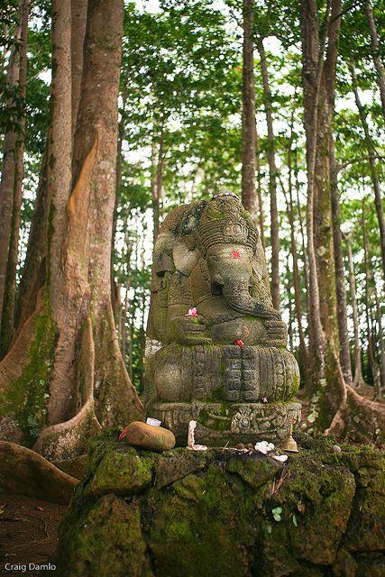 Ganesha and the Sacred Trees in Wailua, Hawaii. Photography by Craig Damlo. Ganesha Shiva, Om Gam Ganapataye Namaha, Hindu Cosmos, Sri Ganesh, Ganesh Lord, Shree Ganesh, Sacred Tree, Shri Ganesh, Ganesha Art