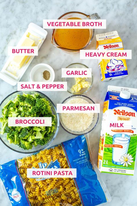 Healthy One Pot Broccoli Pasta Alfredo - The Girl on Bloor One Pot Broccoli Pasta, Broccoli Alfredo Pasta, Alfredo Sauce Recipe Homemade, Pasta Alfredo, Broccoli Alfredo, Alfredo Sauce Recipe, Rotini Pasta, Broccoli Pasta, Pasta Dinner Recipes